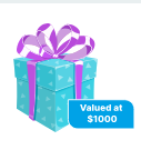 My American Prizes Mystery Box